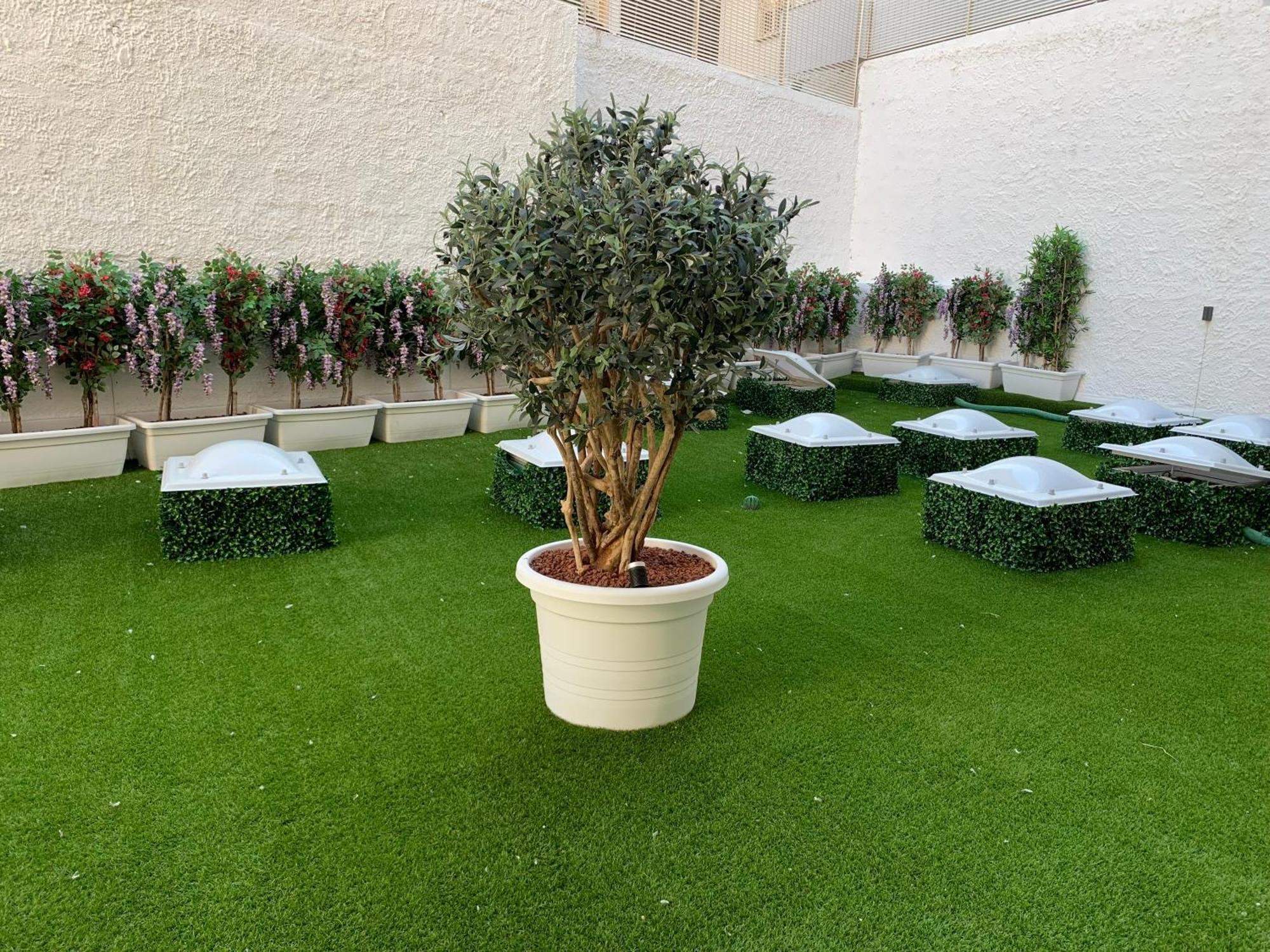 Hotel El Balear Alghero Dış mekan fotoğraf