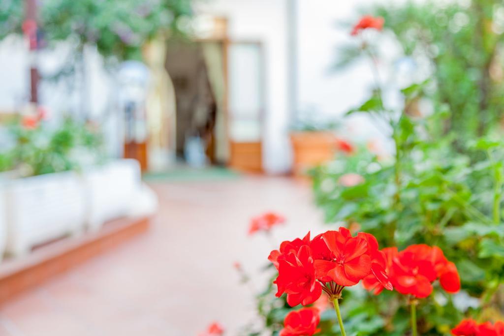 Hotel El Balear Alghero Dış mekan fotoğraf